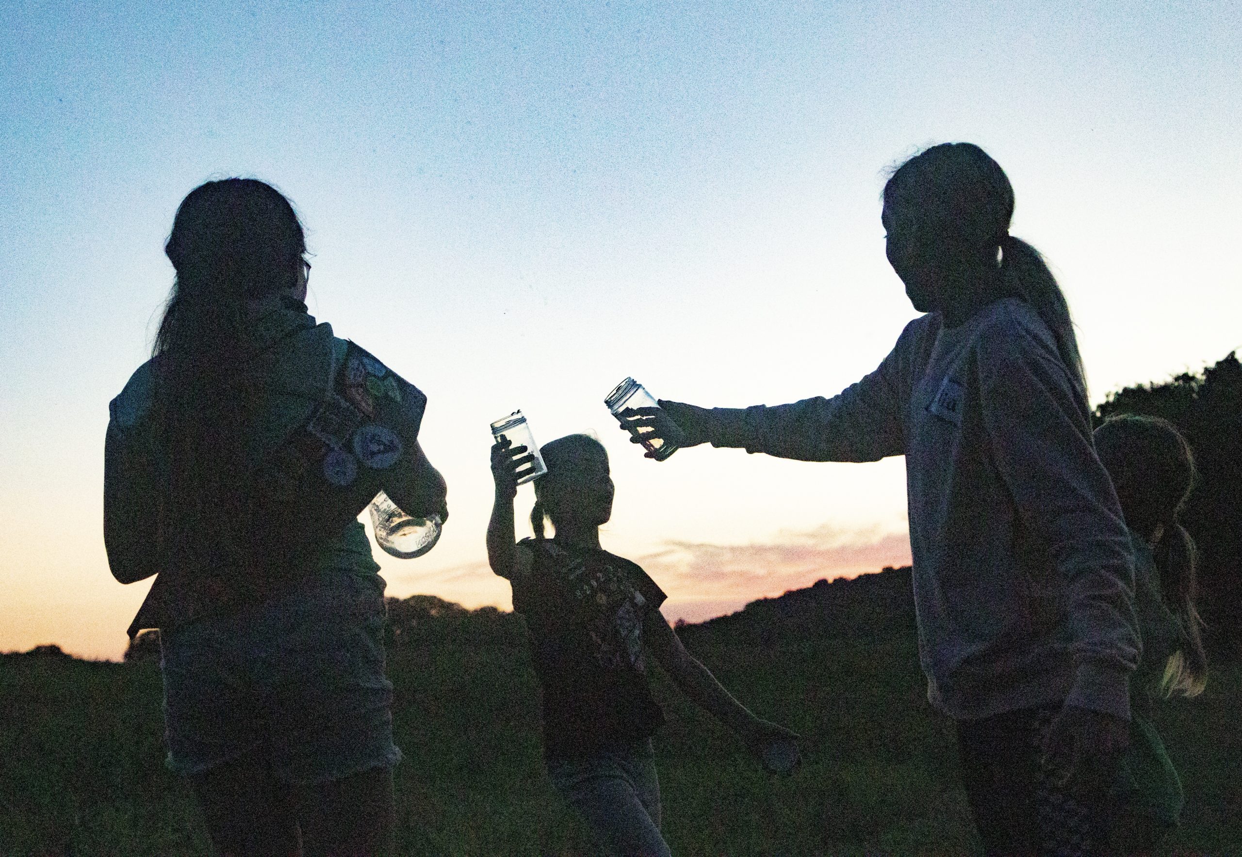 Catching fireflies at dusk