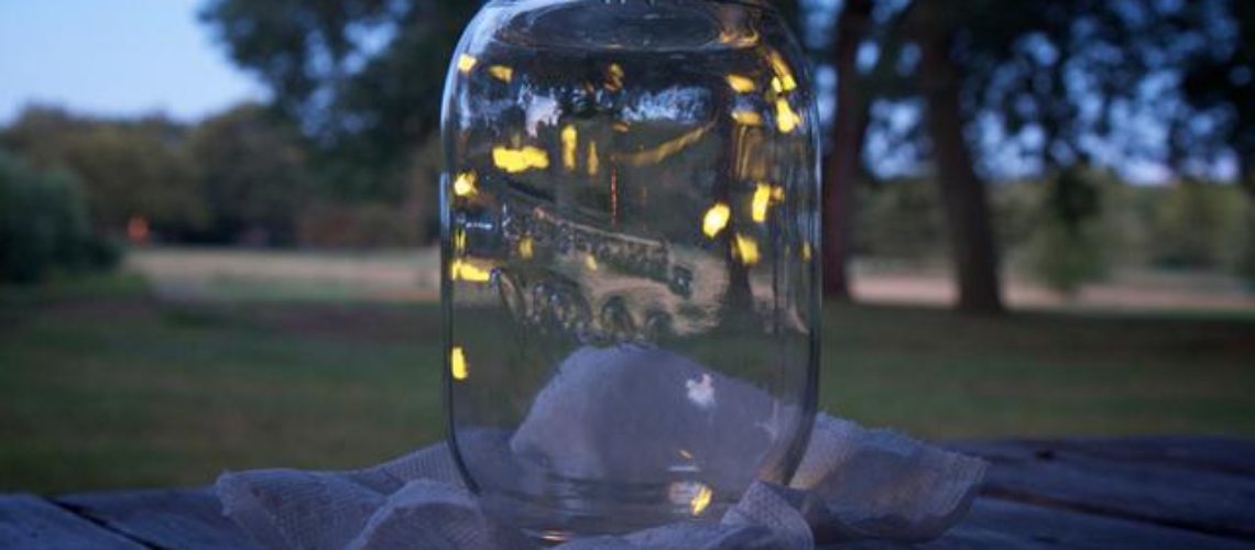 fireflies